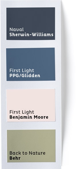 Coy2020 Colors