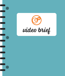 Videobrief