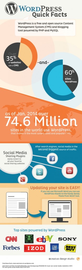 Wordpressinfographic 313X1030 1