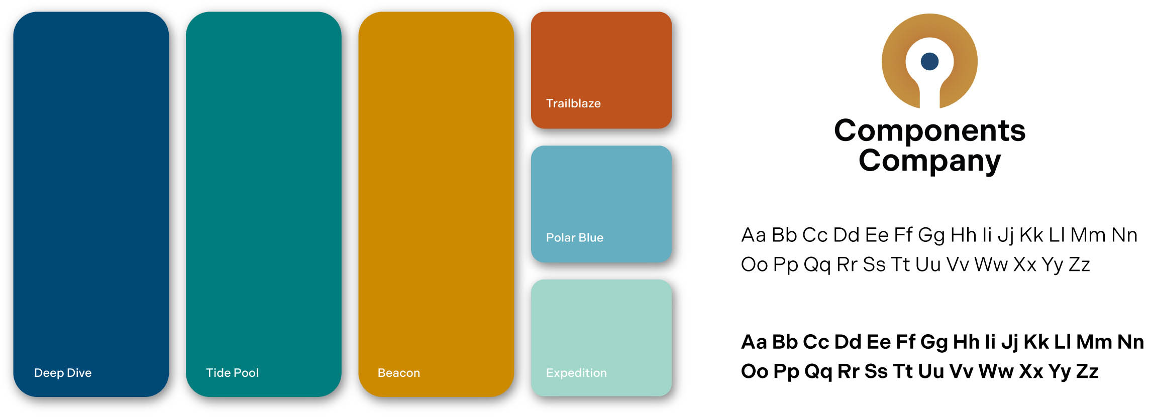 Color Palette Created For Cci Branding Color Palette Created For Cci Branding