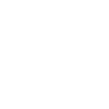 Maginifying Glass Icon