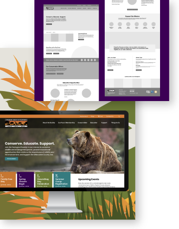 Website Design &Amp; Development